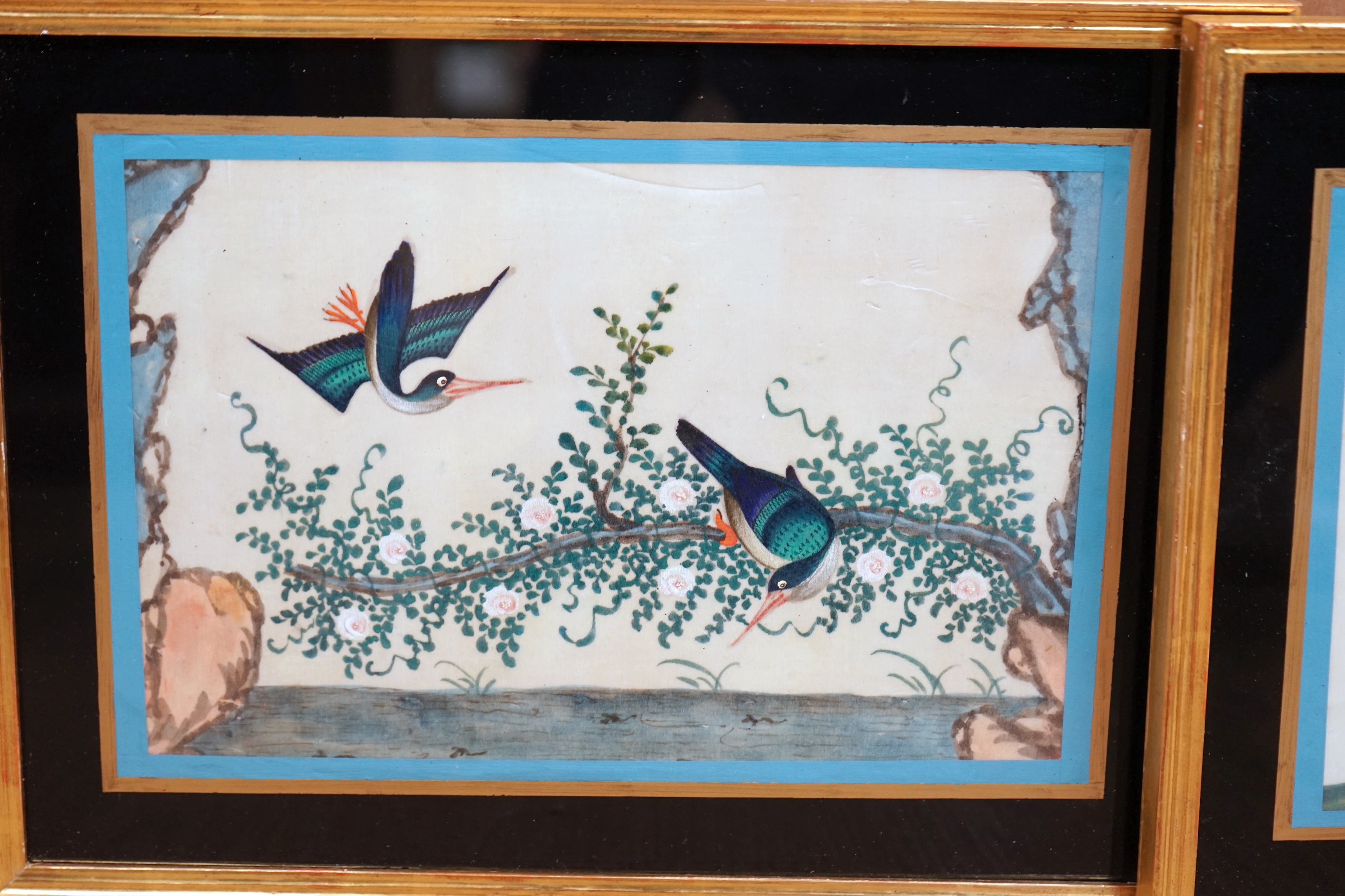 19th century Chinese School, pair of pith paper paintings, Birds of Paradise amongst flowers, 16 x 25cm